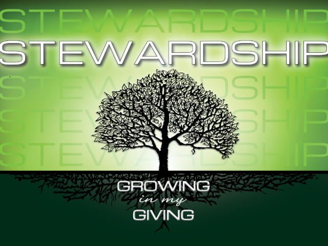 stewardship-2017-small-file-size