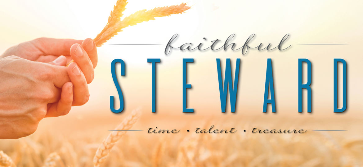 Stewardship Poster 2021 - web
