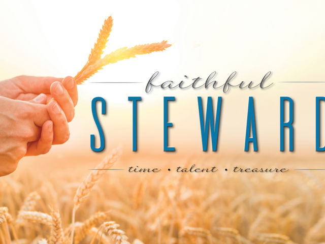 Stewardship Poster 2021 - web