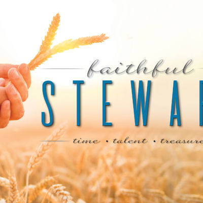 Stewardship Poster 2021 - web